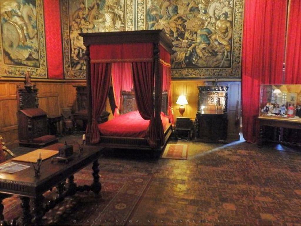 149 CHATEAU DE BRISSAC MAINE ET LOIRE 2016 N2_000044.jpg